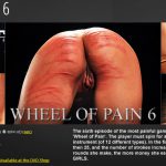 ElitePain Wheel of Pain 6
