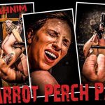 Hard Torture – Leahnim Parrot Perch Extreme