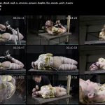 Huge gags drool and a reverse prayer hogtie for moxie part 4