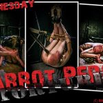 Wednesday – Parrot Perch Torture